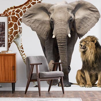 Animal Wall Decals