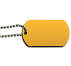 Springfield Seniors Dog Tag Back