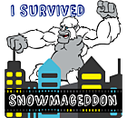 I Survived Snowmageddon Decal